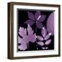 Plum Sunprint Leaves-Dan Zamudio-Framed Art Print