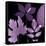 Plum Sunprint Leaves-Dan Zamudio-Framed Stretched Canvas