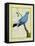 Plum-Throated Cotinga-Georges-Louis Buffon-Framed Stretched Canvas