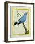 Plum-Throated Cotinga-Georges-Louis Buffon-Framed Giclee Print