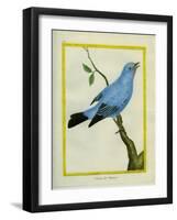 Plum-Throated Cotinga-Georges-Louis Buffon-Framed Giclee Print