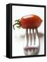 Plum Tomato, Speared on a Fork-null-Framed Stretched Canvas