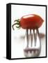 Plum Tomato, Speared on a Fork-null-Framed Stretched Canvas