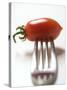 Plum Tomato, Speared on a Fork-null-Stretched Canvas