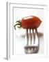 Plum Tomato, Speared on a Fork-null-Framed Photographic Print