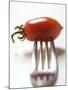 Plum Tomato, Speared on a Fork-null-Mounted Photographic Print