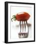 Plum Tomato, Speared on a Fork-null-Framed Photographic Print