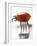 Plum Tomato, Speared on a Fork-null-Framed Photographic Print