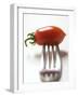 Plum Tomato, Speared on a Fork-null-Framed Photographic Print