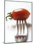 Plum Tomato, Speared on a Fork-null-Mounted Photographic Print