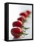 Plum Tomatoes in a Row-Martina Schindler-Framed Stretched Canvas