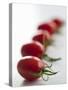 Plum Tomatoes in a Row-Martina Schindler-Stretched Canvas