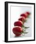 Plum Tomatoes in a Row-Martina Schindler-Framed Photographic Print