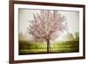 Plum Tree Blossoms In Sonoma County-Ron Koeberer-Framed Photographic Print