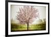 Plum Tree Blossoms In Sonoma County-Ron Koeberer-Framed Photographic Print