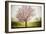 Plum Tree Blossoms In Sonoma County-Ron Koeberer-Framed Photographic Print