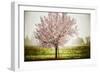 Plum Tree Blossoms In Sonoma County-Ron Koeberer-Framed Photographic Print