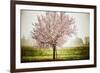 Plum Tree Blossoms In Sonoma County-Ron Koeberer-Framed Photographic Print