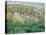 Plum Trees, 1879-Claude Monet-Stretched Canvas