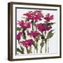 Plum Wild Flowers-Jane Slivka-Framed Art Print