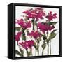 Plum Wild Flowers-Jane Slivka-Framed Stretched Canvas