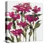 Plum Wild Flowers-Jane Slivka-Stretched Canvas