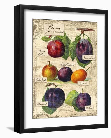 Plum-Kate Ward Thacker-Framed Giclee Print