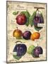 Plum-Kate Ward Thacker-Mounted Giclee Print