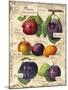 Plum-Kate Ward Thacker-Mounted Giclee Print