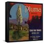 Pluma Brand - Upland, California - Citrus Crate Label-Lantern Press-Framed Stretched Canvas