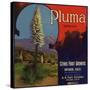 Pluma Brand - Upland, California - Citrus Crate Label-Lantern Press-Stretched Canvas