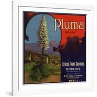 Pluma Brand - Upland, California - Citrus Crate Label-Lantern Press-Framed Art Print