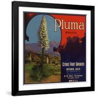 Pluma Brand - Upland, California - Citrus Crate Label-Lantern Press-Framed Art Print