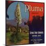 Pluma Brand - Upland, California - Citrus Crate Label-Lantern Press-Mounted Art Print