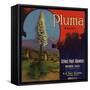 Pluma Brand - Upland, California - Citrus Crate Label-Lantern Press-Framed Stretched Canvas