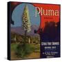 Pluma Brand - Upland, California - Citrus Crate Label-Lantern Press-Stretched Canvas