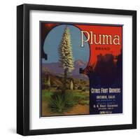 Pluma Brand - Upland, California - Citrus Crate Label-Lantern Press-Framed Art Print