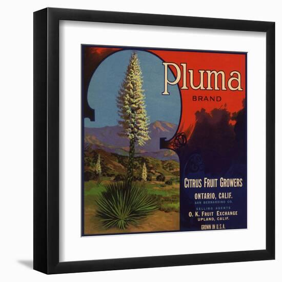 Pluma Brand - Upland, California - Citrus Crate Label-Lantern Press-Framed Art Print