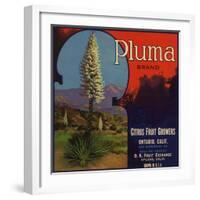 Pluma Brand - Upland, California - Citrus Crate Label-Lantern Press-Framed Art Print