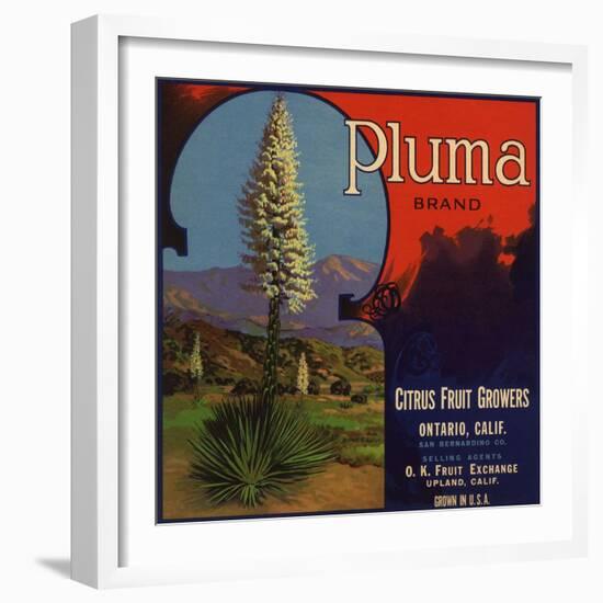 Pluma Brand - Upland, California - Citrus Crate Label-Lantern Press-Framed Art Print