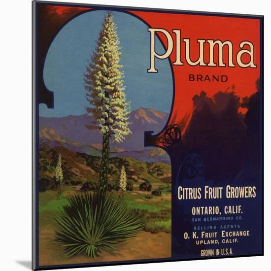 Pluma Brand - Upland, California - Citrus Crate Label-Lantern Press-Mounted Art Print