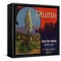 Pluma Brand - Upland, California - Citrus Crate Label-Lantern Press-Framed Stretched Canvas