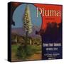 Pluma Brand - Upland, California - Citrus Crate Label-Lantern Press-Stretched Canvas