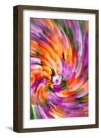 Plumage of Flowers-Douglas Taylor-Framed Photographic Print