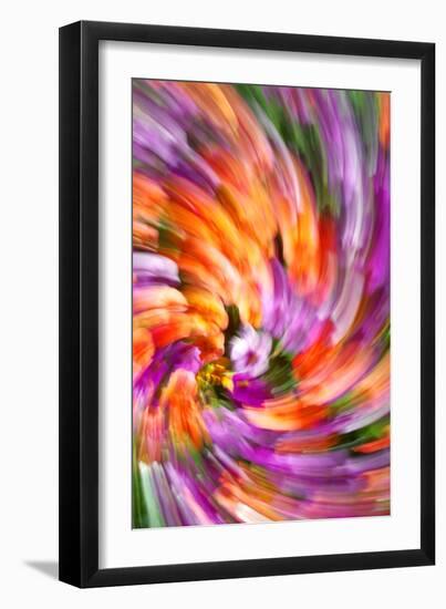 Plumage of Flowers-Douglas Taylor-Framed Photographic Print