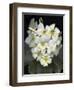 Plumaria-Susan S. Barmon-Framed Giclee Print