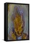 Plume Agate, Sammamish, Washington-Darrell Gulin-Framed Stretched Canvas