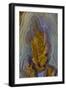 Plume Agate, Sammamish, Washington-Darrell Gulin-Framed Photographic Print