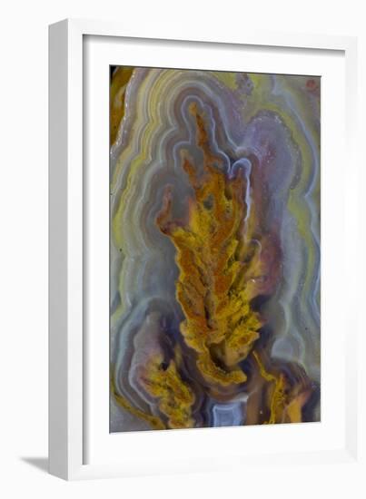 Plume Agate, Sammamish, Washington-Darrell Gulin-Framed Photographic Print