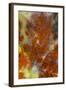 Plume Agate, Sammamish, Washington-Darrell Gulin-Framed Photographic Print